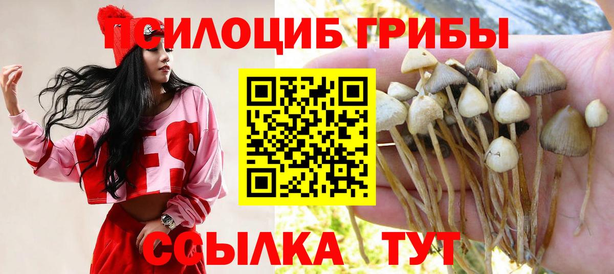 Псилоцибиновые грибы мицелий  Вход с VPN  Псилоцибиновые грибы ЛСД  Мирный 